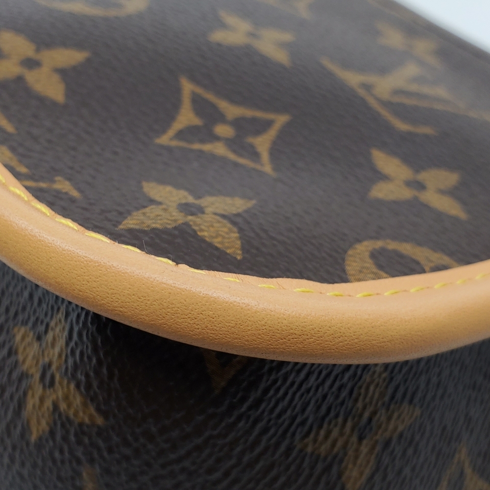 Louis Vuitton Diane PM Monogram PM - Picture 10 of 15